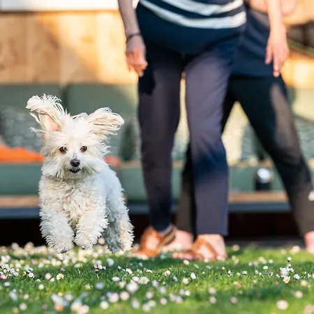 Stadl Niglberg Suedsteiermark * Sankt Johann im Saggautal